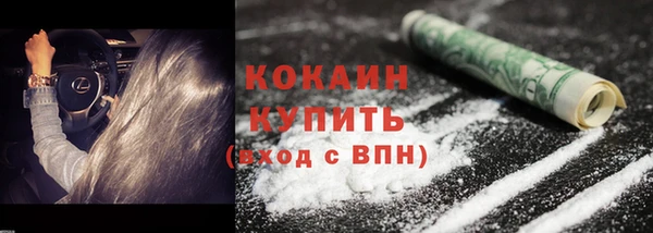 дурь Рославль