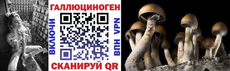 Псилоцибиновые грибы MAGIC MUSHROOMS  Луга 
